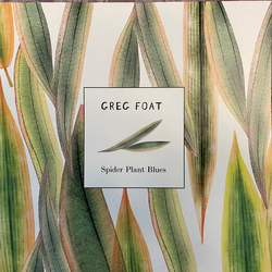 Greg Foat Spider Plant Blues Vinyl 7" USED