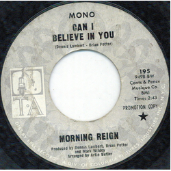 Morning Reign Can I Believe In You Vinyl 7" USED