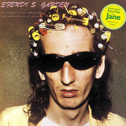 Efendi's Garden Efendi's Garden Vinyl LP USED