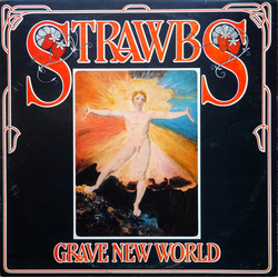 Strawbs Grave New World Vinyl LP USED