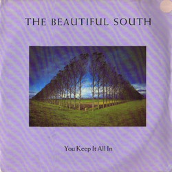 The Beautiful South You Keep It All In Vinyl 7" USED