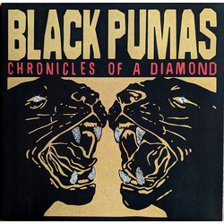 Black Pumas Chronicles Of A Diamond Vinyl LP USED