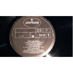Van Morrison Into The Music Vinyl LP USED