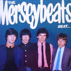 The Merseybeats Beat & Ballads Vinyl LP USED