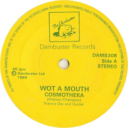 Cosmotheka Wot A Mouth Vinyl 7" USED