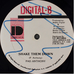 Pad Anthony Shake Them Down Vinyl 12" USED