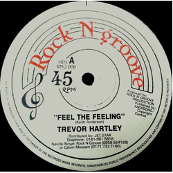Trevor Hartley Feel The Feeling Vinyl 12" USED