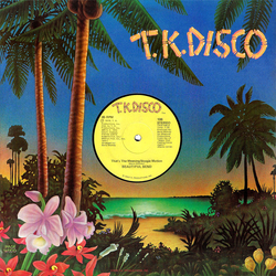 Beautiful Bend That's The Meaning/Boogie Motion / Make That Feeling Come Again!/Ah--Do It Vinyl 12" USED