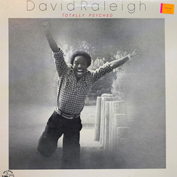 David Raleigh Totally Psyched Vinyl LP USED