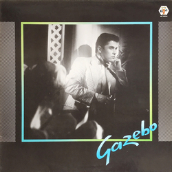 Gazebo Gazebo Vinyl LP USED