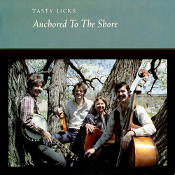 Tasty Licks Anchored To The Shore Vinyl LP USED
