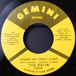 The Exits Under The Street Lamp Vinyl 7" USED