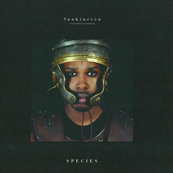 Funkineven Species Vinyl 12" USED