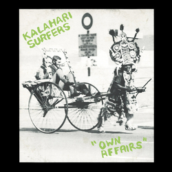 Kalahari Surfers Own Affairs Vinyl LP USED