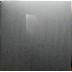 Ostraca Enemy Vinyl LP USED