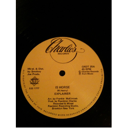 Explainer Is Horse Vinyl 12" USED