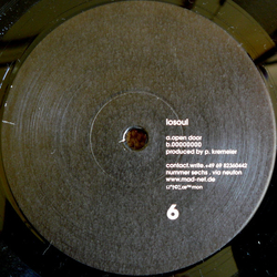 LoSoul Open Door Vinyl 12" USED