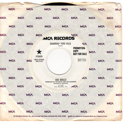 Joe Dolce Shaddap You Face Vinyl 7" USED