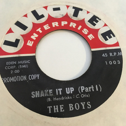 The Boys (59) Shake It Up Vinyl 7" USED