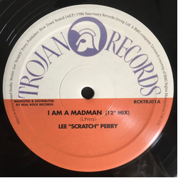 Lee Scratch Perry / Mad Professor I Am A Madman (12" Mix) / Mad Man Dubwise Vinyl 12" USED