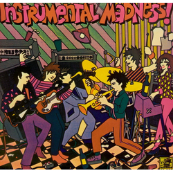 Various Instrumental Madness! Vinyl LP USED