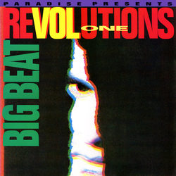 Nelson "Paradise" Roman Big Beat Revolutions Vol. #1 Vinyl LP USED