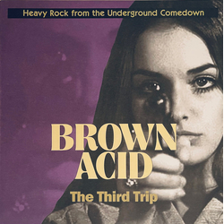 Various Brown Acid: The Third Trip (Heavy Rock From The Underground Comedown) Vinyl LP USED