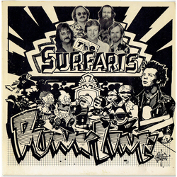 The Surfaris Punkline Vinyl 7" USED