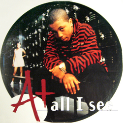 A+ All I See Vinyl 12" USED