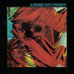 A Blind Dog Stares A Blind Dog Stares Vinyl 12" USED