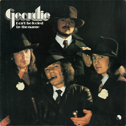Geordie Don't Be Fooled By The Name Vinyl LP USED