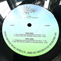 T3AL Bluish Green Remixes Vinyl 12" USED