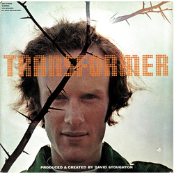 David Stoughton Transformer Vinyl LP USED