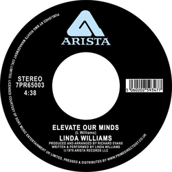 Linda Williams Elevate Our Minds Vinyl 7" USED