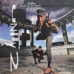 Unity 2 What Is It, Yo?! Vinyl LP USED