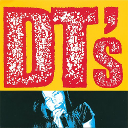 The Dt's Mystified Vinyl 7" USED