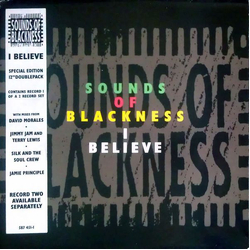 Sounds Of Blackness I Believe Vinyl 12" USED