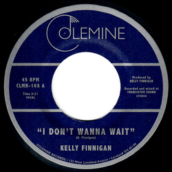 Kelly Finnigan I Don't Wanna Wait Vinyl 7" USED