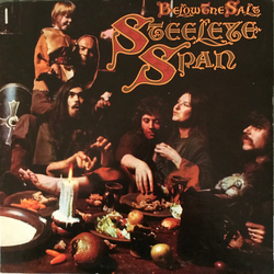 Steeleye Span Below The Salt Vinyl LP USED