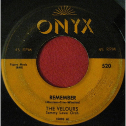 The Velours Remember / Can I Walk You Home Vinyl 7" USED