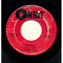 The Velours Remember / Can I Walk You Home Vinyl 7" USED