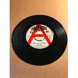 The Loot Try To Keep It A Secret / Radio City Vinyl 7" USED