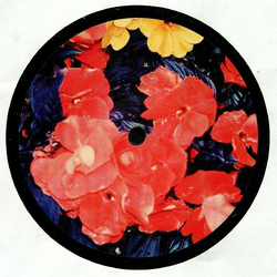 DJ Kush Boogie Home & Living Vinyl 12" USED