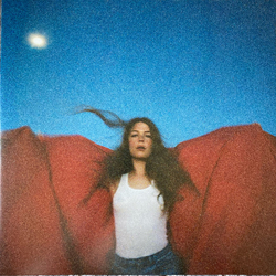 Maggie Rogers Heard it in a Past Life Vinyl LP USED