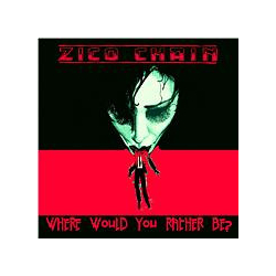 The Zico Chain Where Would You Rather Be? Vinyl 7" USED