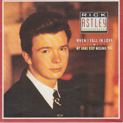 Rick Astley When I Fall In Love / My Arms Keep Missing You Vinyl 7" USED
