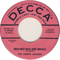 The Jumpin' Jaguars Knock-Kneed Nellie From Knoxville / Shut The Door Baby Vinyl 7" USED