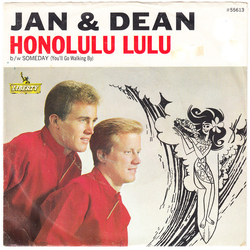 Jan & Dean Honolulu Lulu Vinyl 7" USED