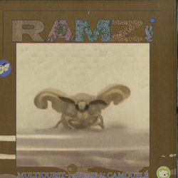 Ramzi Multiquest Niveau 1: Camouflé Vinyl LP USED