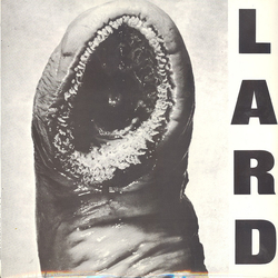 Lard Power Of Lard EP Vinyl 12" USED
